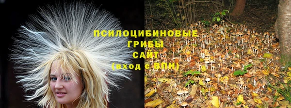 экстази Медногорск