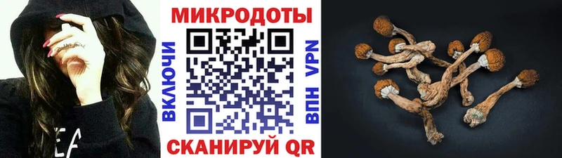 сколько стоит  Краснообск  Галлюциногенные грибы Cubensis 